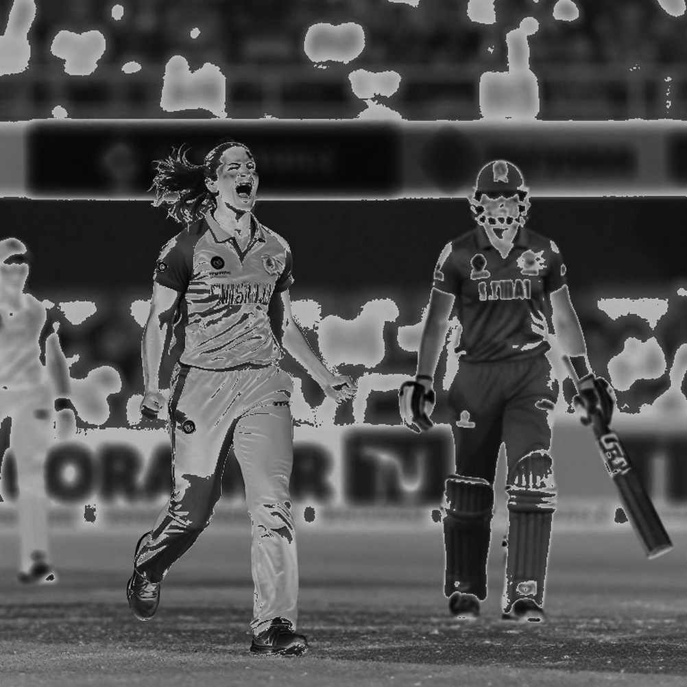 From Ledger to Chain: Who Keeps Cricket's Youth Registration Ledgers Immortal?