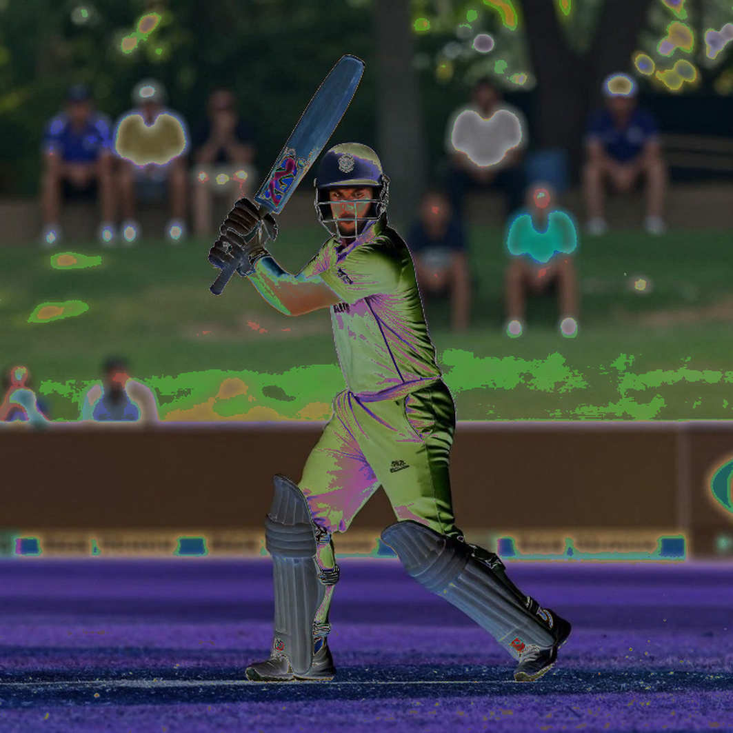 Opening Cricket's Blockchain Ledger: What Survived After the 91% Collapse Opening Cricket's Blockchain Ledger: What Survived After the 91% Collapse